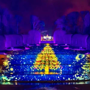 from-edinburgh-alnwick-garden-magical-christmas-light-trail-1138834