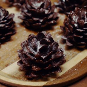 chocolate pinecones